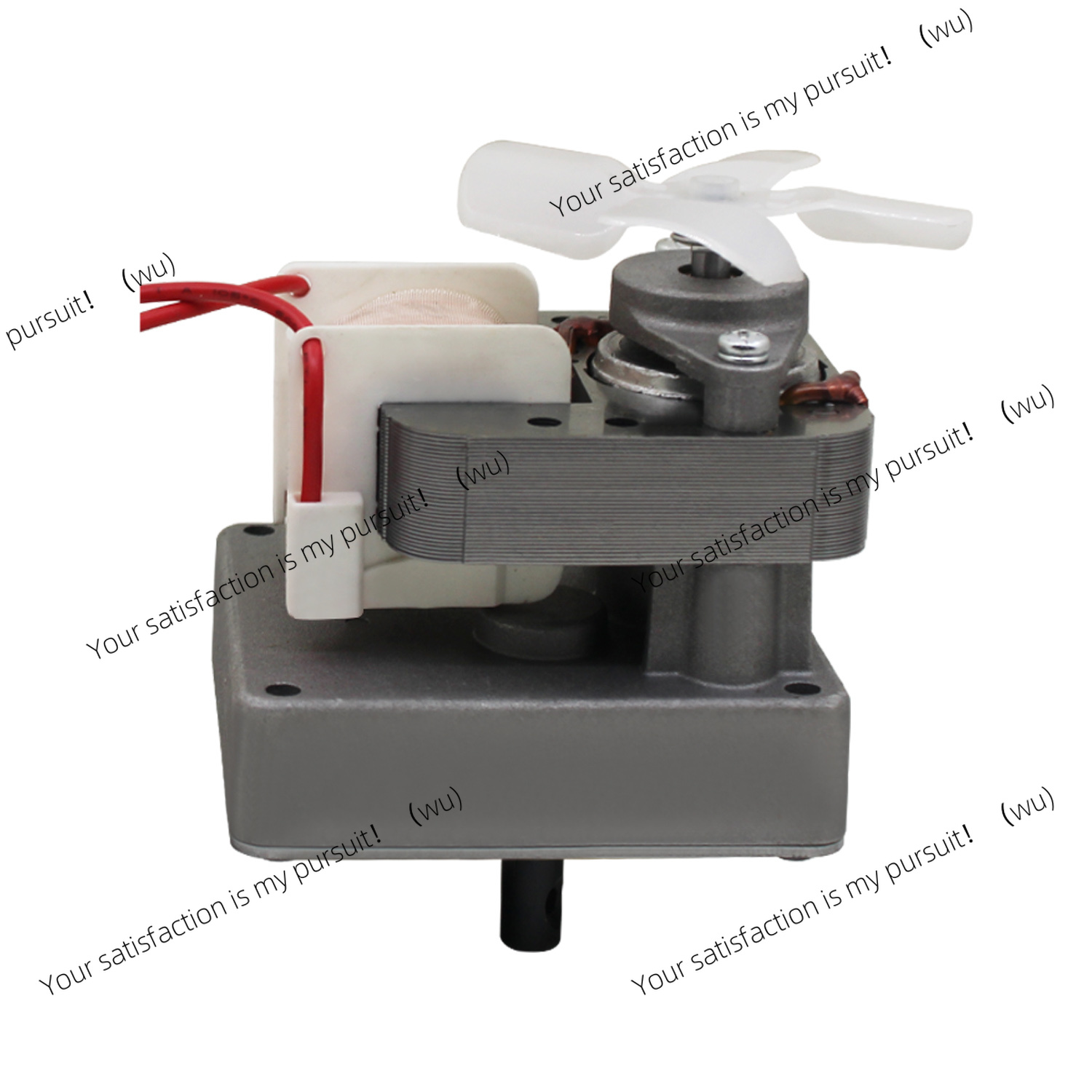 220V 2.0 rpm Replacement Auger - Electric Smoker Bbq recension och pris
